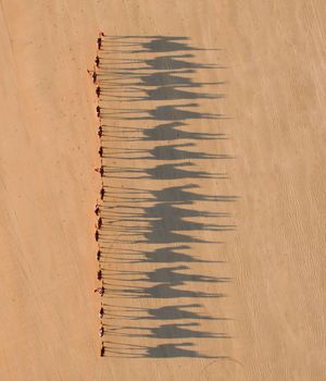 Image post by @fubiz on Instagram