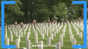Video post by @newsnation on YouTube