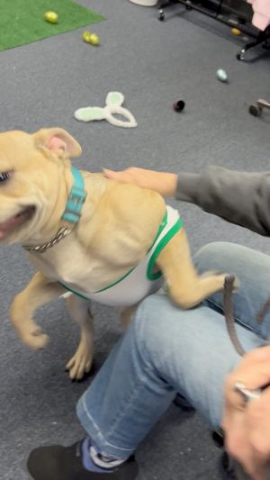 Video post by @LiveLikeRoo on Facebook