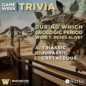 Image post by @huskyband on Instagram