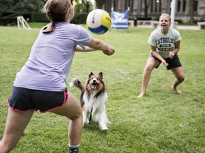 Image post by @pittsburghpg on Instagram