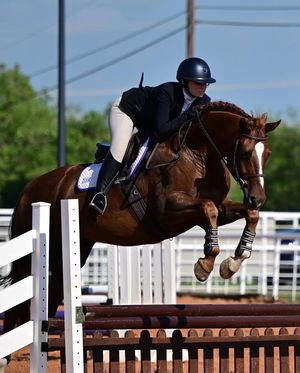 Image post by @tcuequestrian on Instagram