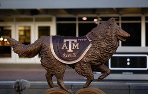 Image post by @tamu on Instagram