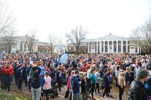 Image post by @cavalierdaily on Instagram