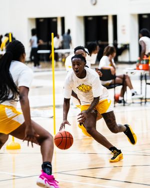 Image post by @uapblionswbb on Instagram