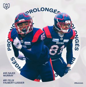 Image post by @mtlalouettes on Instagram