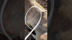 Video post by @pbr on YouTube