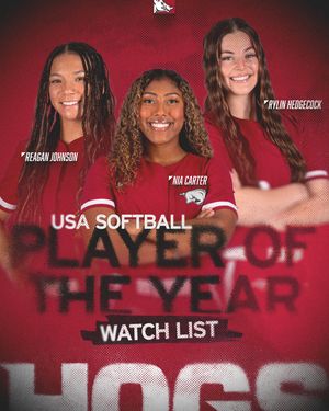 Image post by @razorbacksb on Instagram