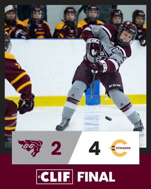Image post by @geegeeswhoc on Instagram