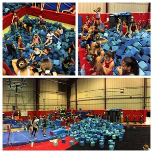 Image post by @rutgersgymnastics on Instagram