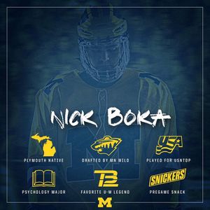 Image post by @umichhockey on Instagram