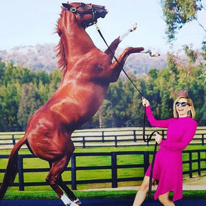 Image post by @australianturfclub on Instagram