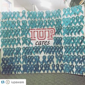 Image post by @iupedu on Instagram
