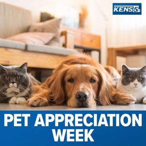Image post by @kens5 on Instagram