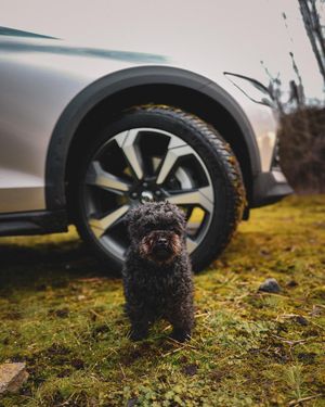 Image post by @michelinusa on Instagram