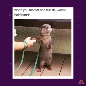 Image post by @theblinkdate on Instagram
