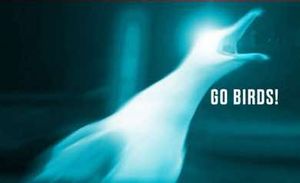 Video post by @philadelphiaeagles on TikTok
