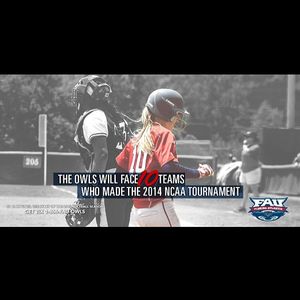 Image post by @fausoftball on Instagram