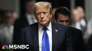 Video post by @msnbc on YouTube