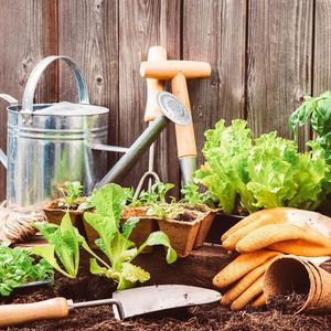 Image post by @shopbachmans on Instagram