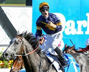 Image post by @australianturfclub on Instagram
