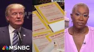 Video post by @msnbc on YouTube