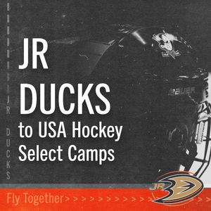 Image post by @the_rinks on Instagram