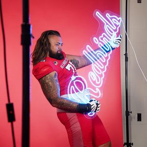 Image post by @isuredbirds on Instagram