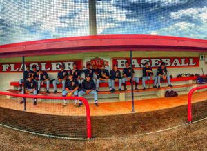 Image post by @flaglerbaseball on Instagram