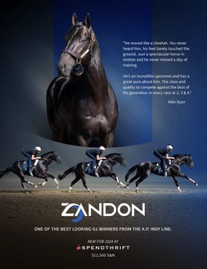 Image post by @theTDN on Twitter