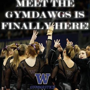 Image post by @uwgymnastics on Instagram