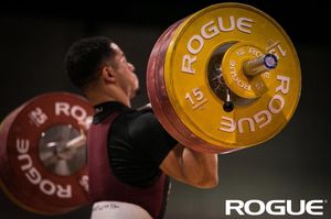 Image post by @roguefitness on Instagram