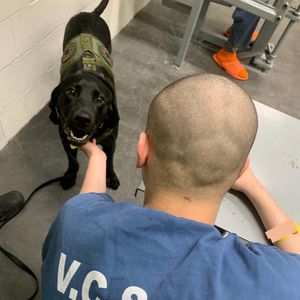 Image post by @vcsheriff on Instagram