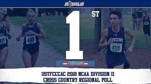 Image post by @queens_tf_xc on Instagram