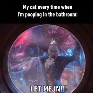 Image post by @9gag on Instagram