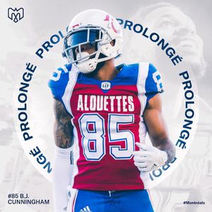 Image post by @mtlalouettes on Instagram