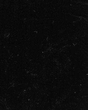 Image post by @masynwinn on Instagram