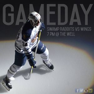 Image post by @swamprabbits on Instagram