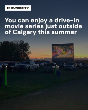 Image post by @curiocitycalgary on Instagram