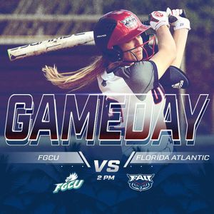 Image post by @fausoftball on Instagram