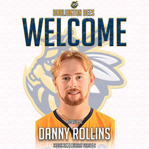 Image post by @burlington_bees on Instagram