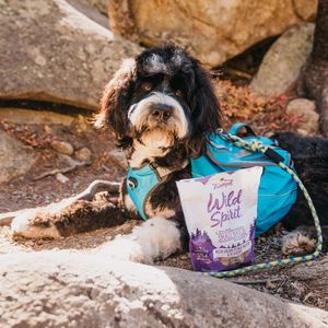 Image post by @triumphpetfood on Instagram