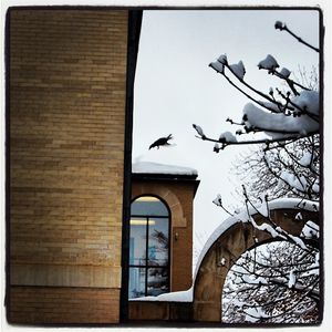 Image post by @cuboulderalumni on Instagram