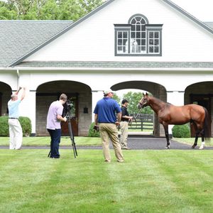 Image post by @spendthriftfarm on Instagram
