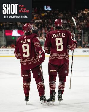 Image post by @arizonacoyotes on Instagram