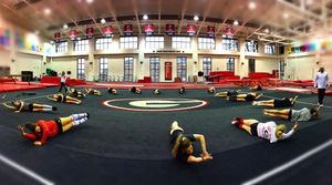 Image post by @ugagymnastics on Instagram