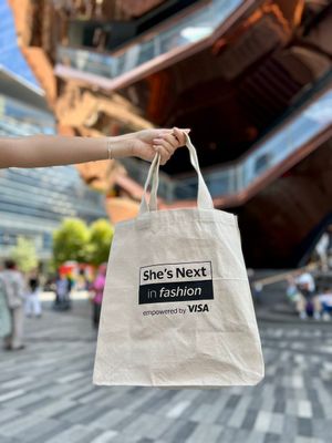 Image post by @Visa on Twitter