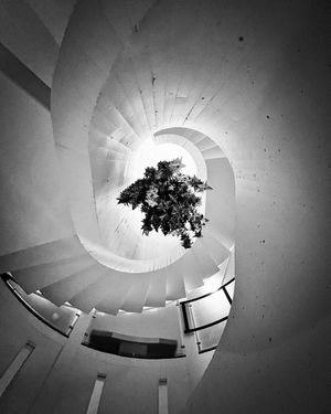 Image post by @lifesadiscoball on Instagram