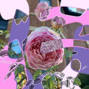 Image post by @lisamaecreative on Instagram