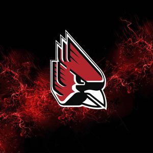 Image post by @ballstategym on Instagram